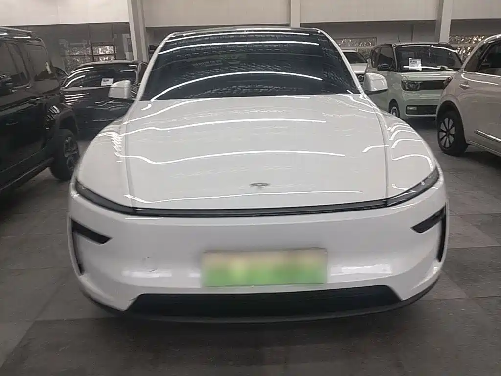 Tesla Model Y — фото 3
