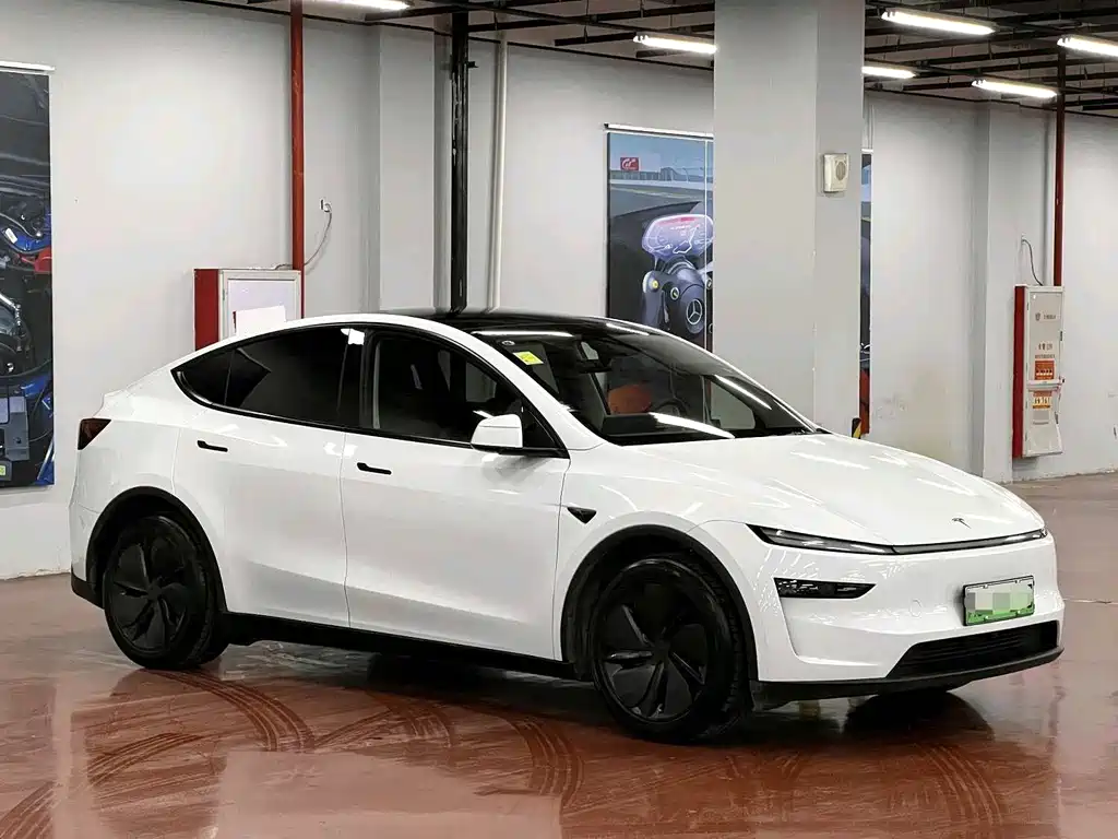 Tesla Model Y — фото 3
