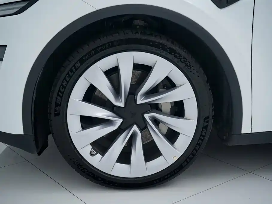 Tesla Model Y — фото 22