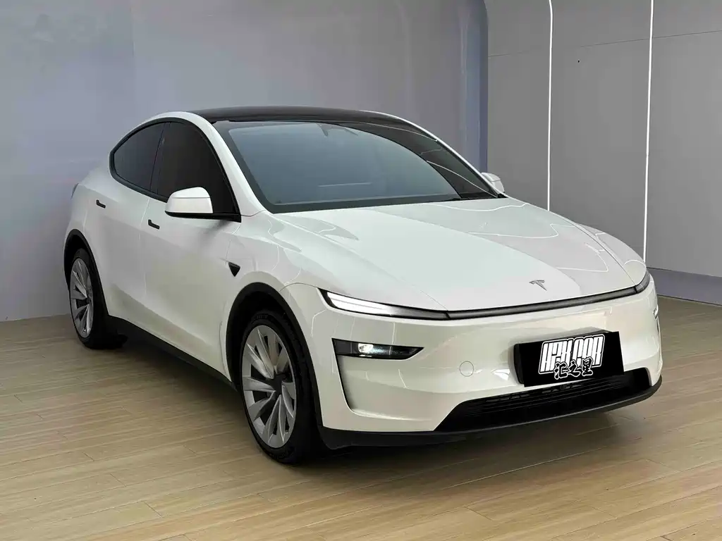 Tesla Model Y — фото 3