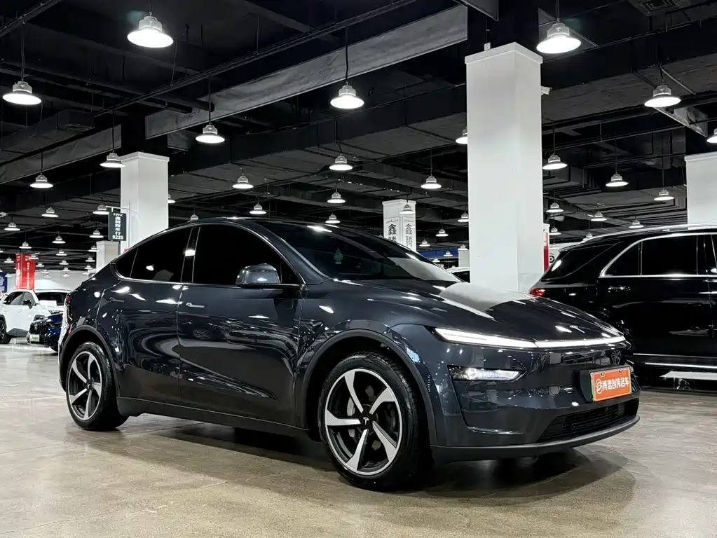 Tesla Model Y — фото 3