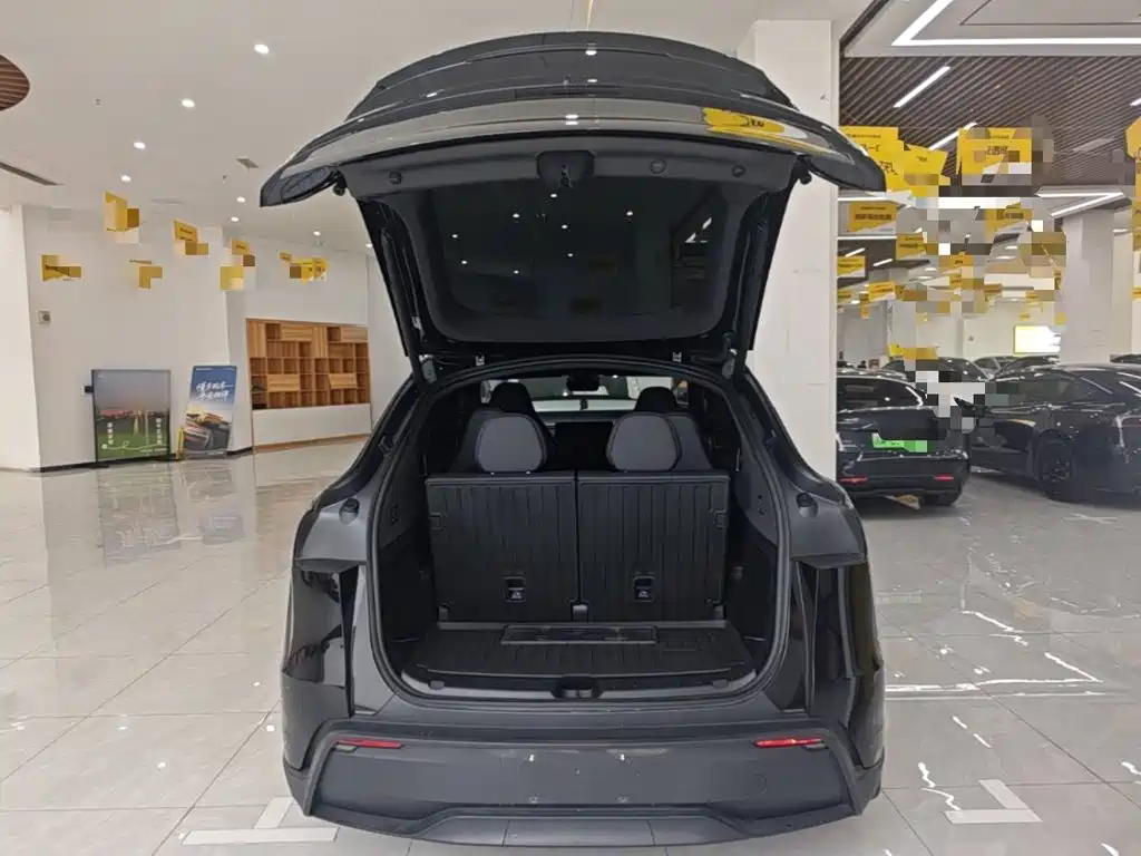 Tesla Model Y L — фото 19