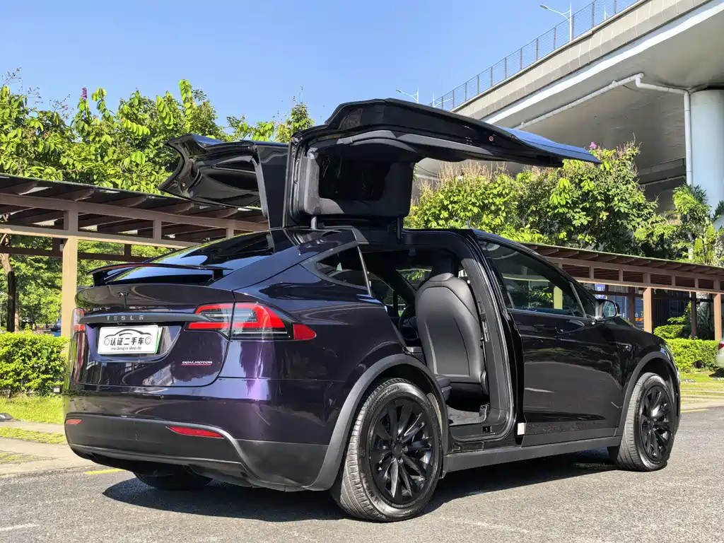 Tesla Model X — фото 11