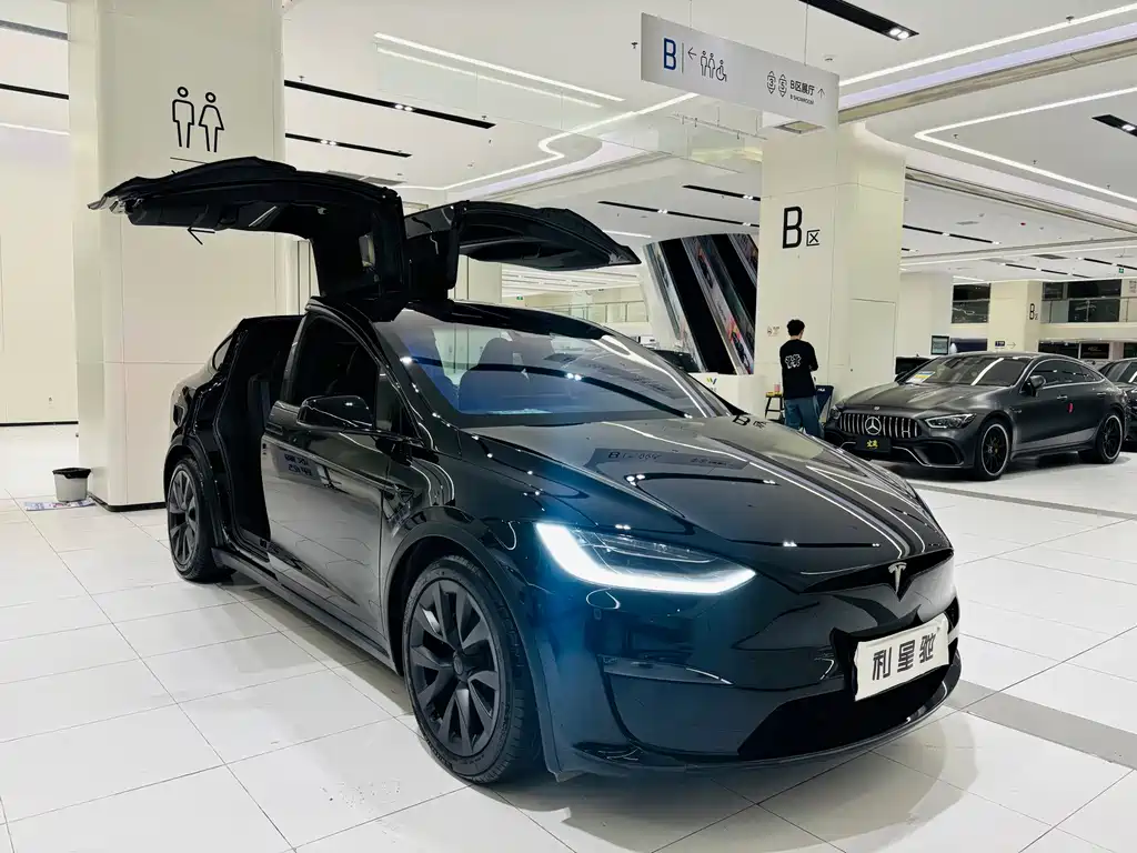 Tesla Model X — фото 2
