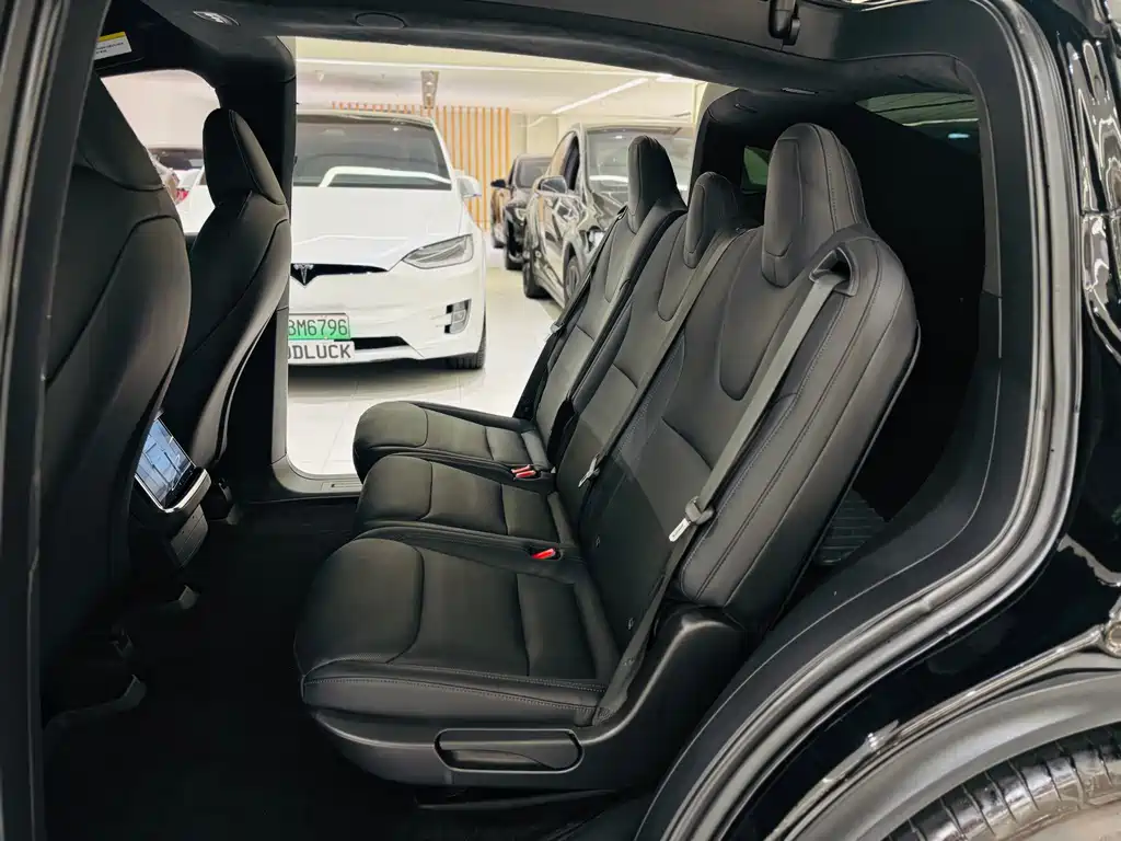 Tesla Model X — фото 11