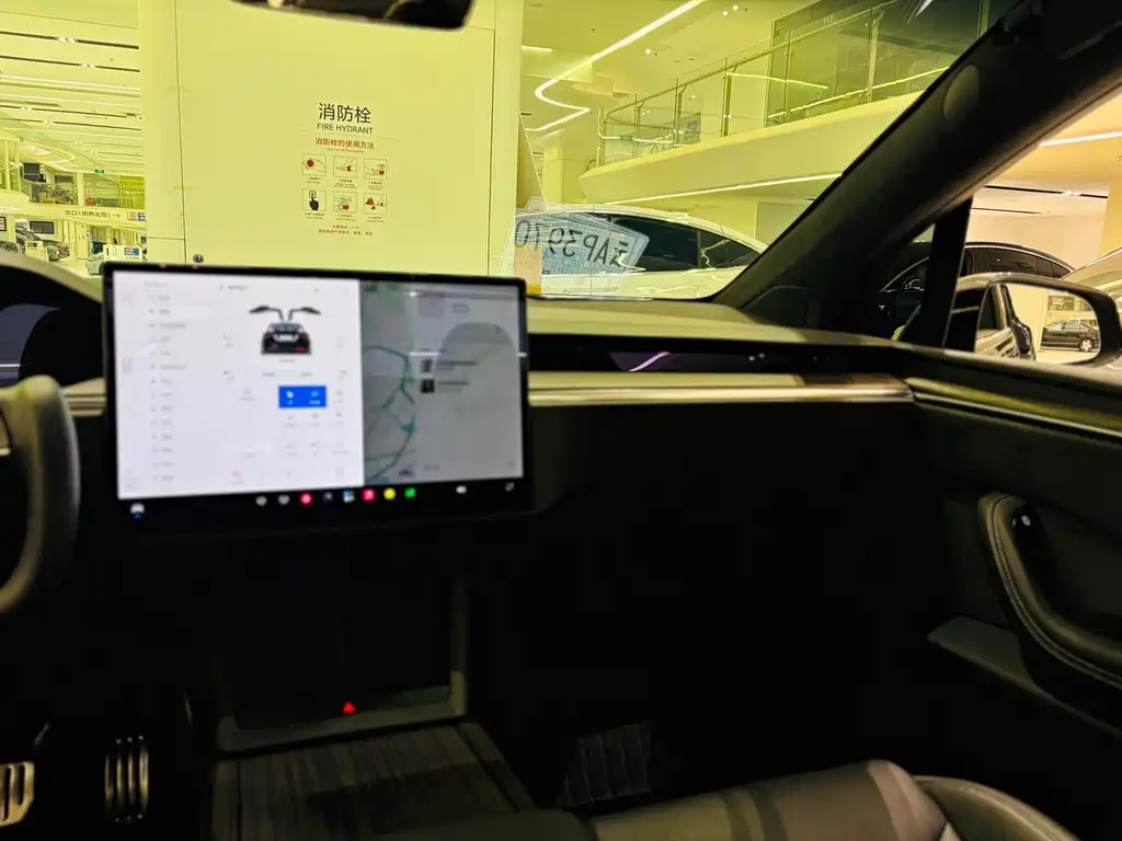Tesla Model X — фото 14