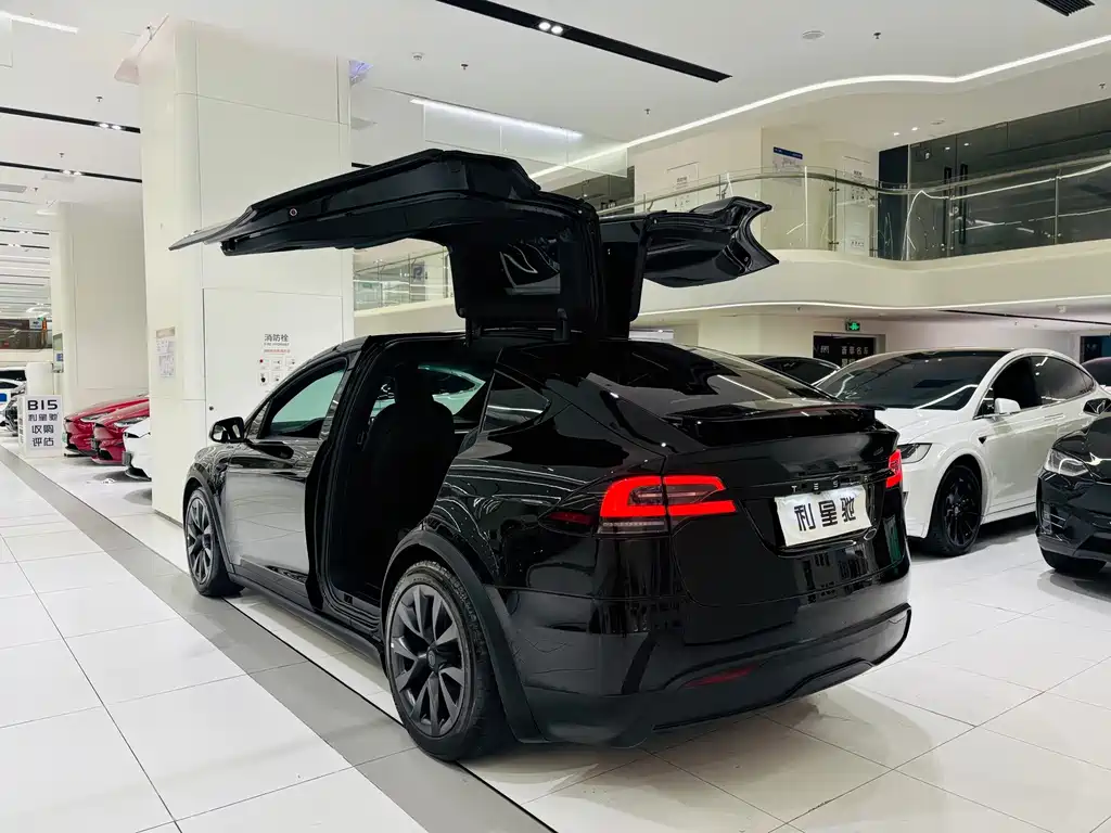 Tesla Model X — фото 3