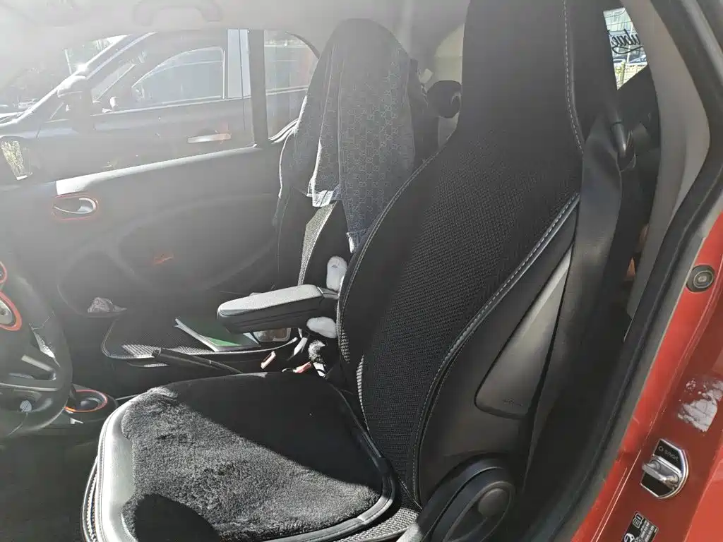 smart Smart Fortwo — фото 18