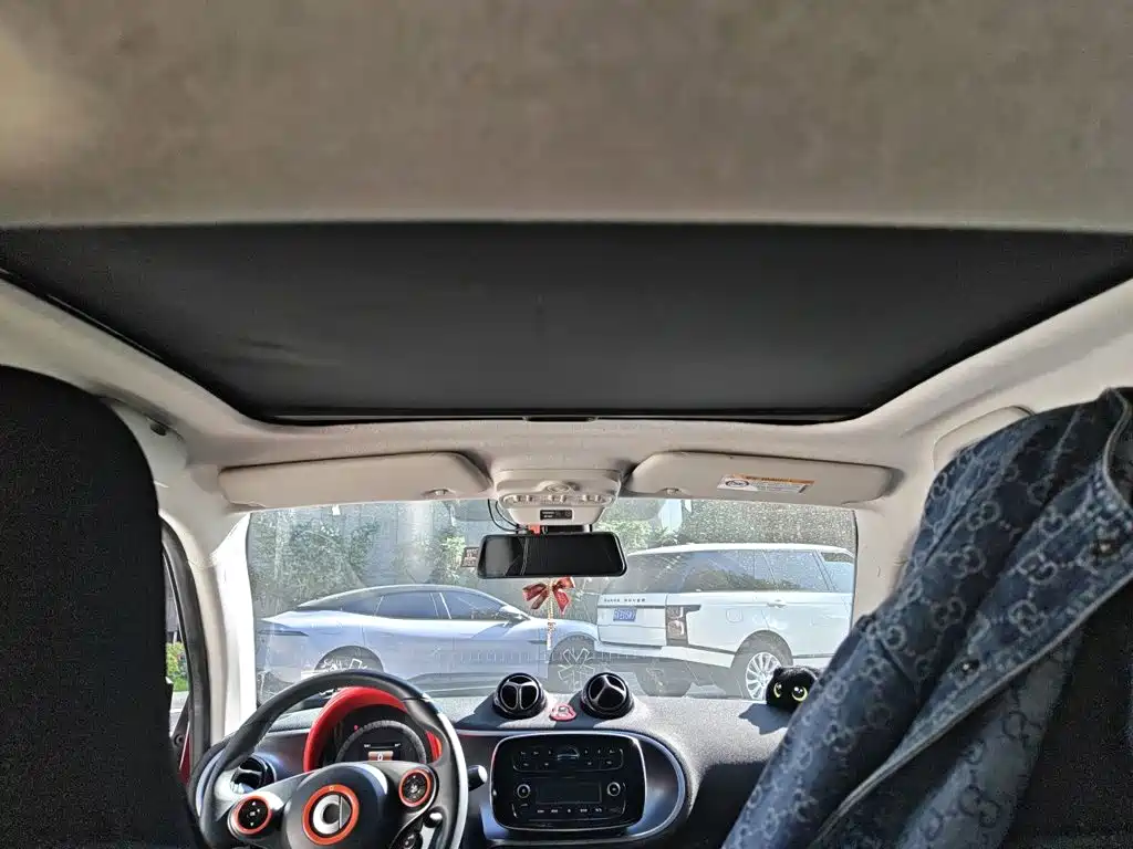 smart Smart Fortwo — фото 21