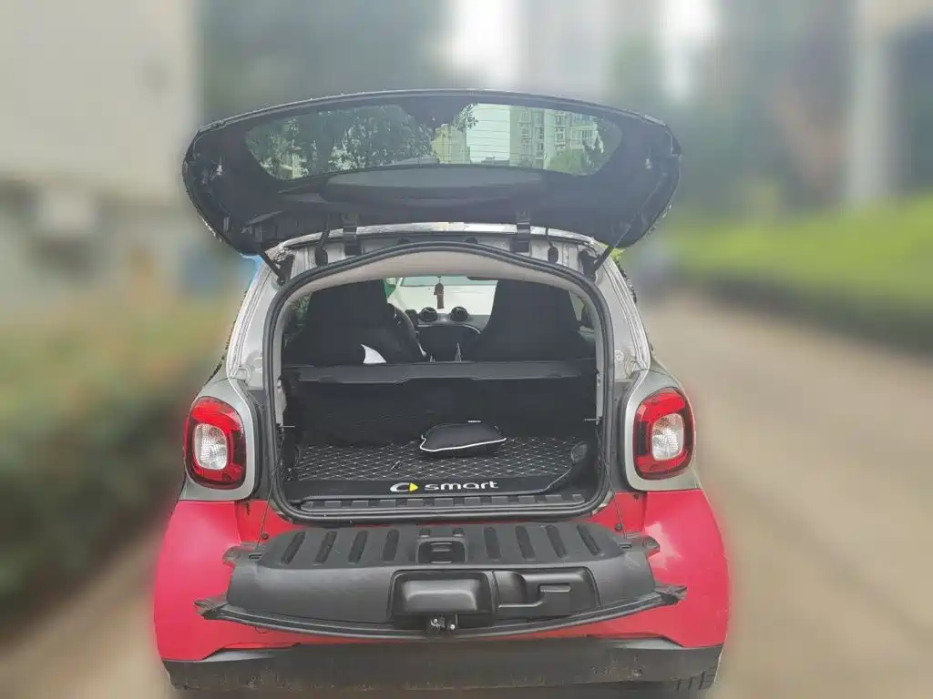 smart Smart Fortwo — фото 15