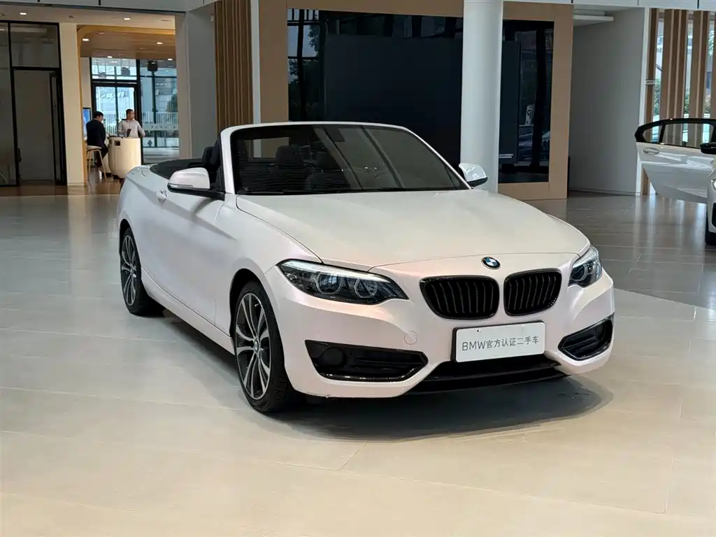 BMW 2 Series (Import) — фото 11