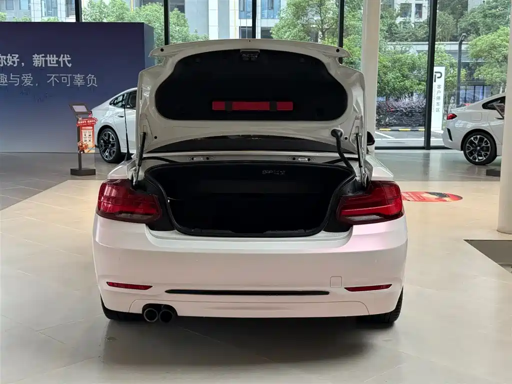 BMW 2 Series (Import) — фото 13