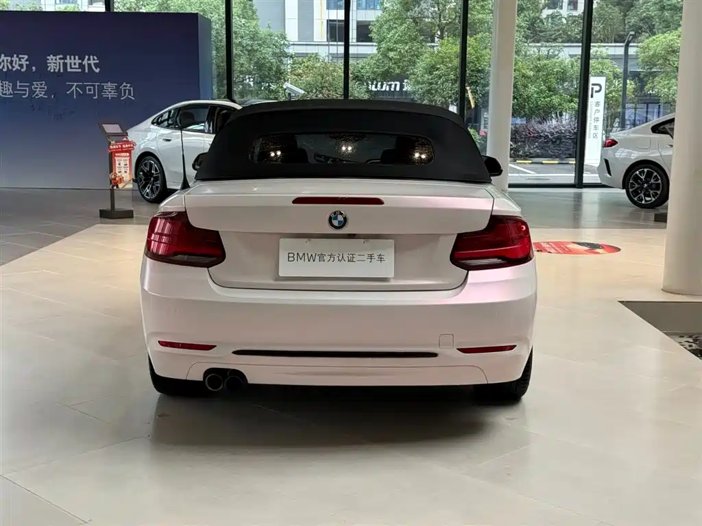 BMW 2 Series (Import) — фото 15