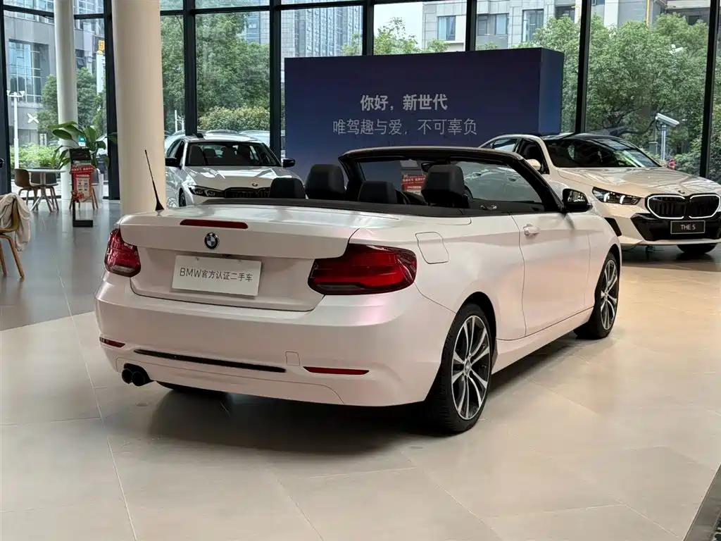 BMW 2 Series (Import) — фото 8