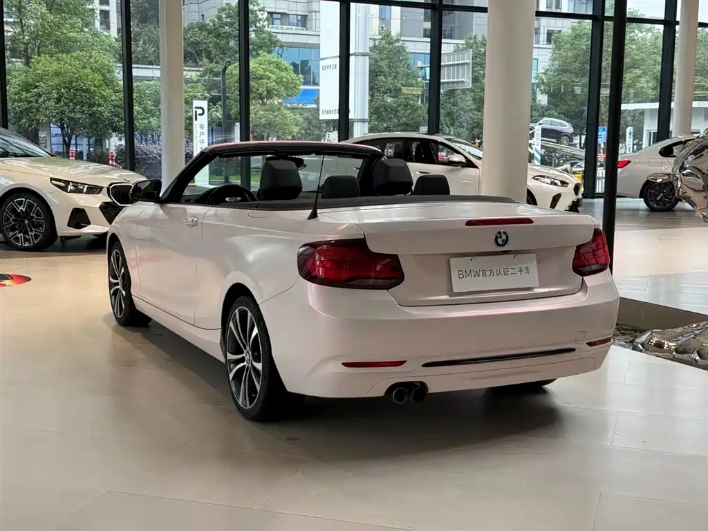 BMW 2 Series (Import) — фото 9