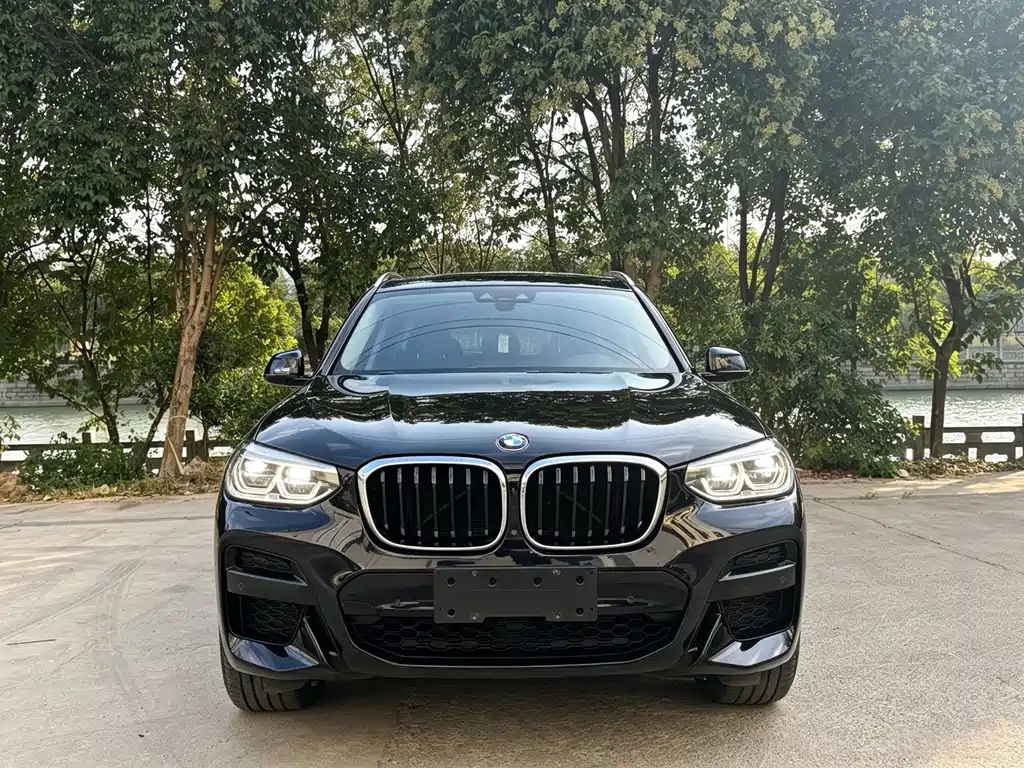 BMW X3 — фото 2