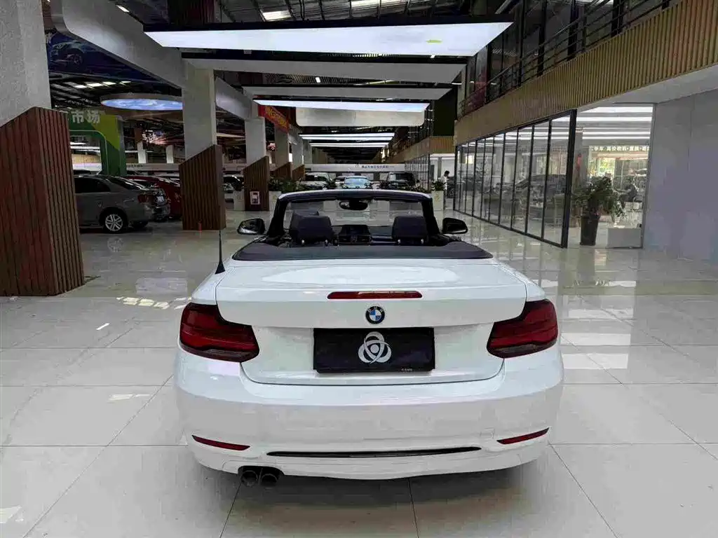 BMW 2 Series (Import) — фото 8
