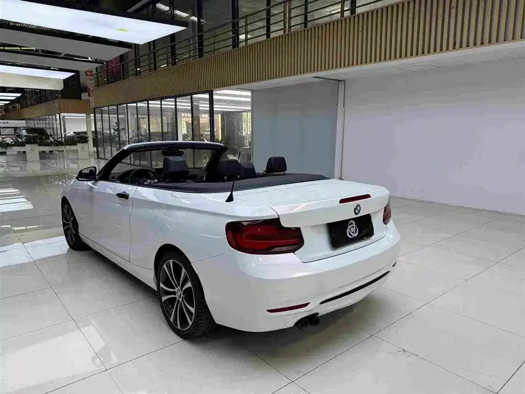 BMW 2 Series (Import) — фото 9