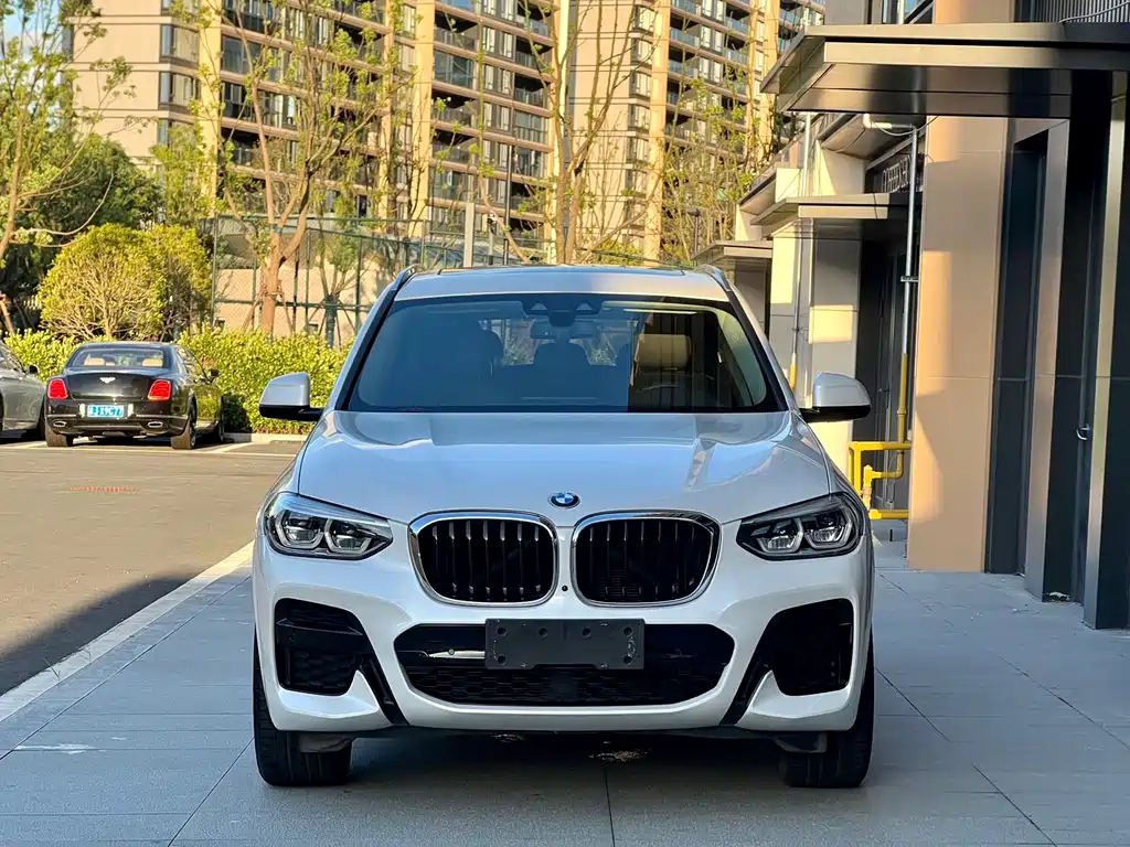 BMW X3 — фото 2