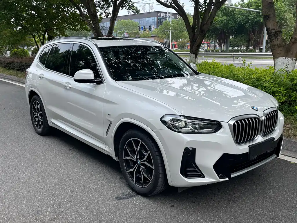 BMW X3 — фото 2