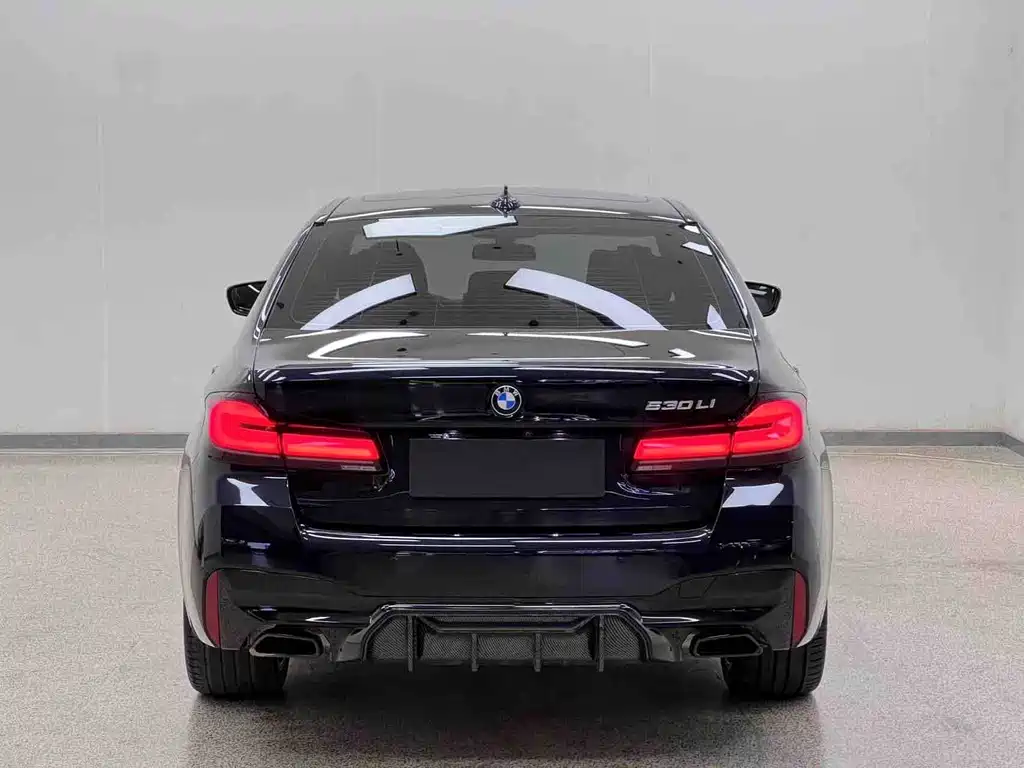 BMW 5 Series — фото 31