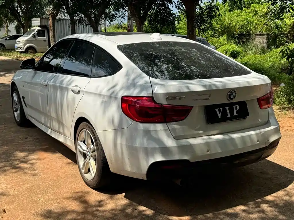 BMW 3 Series GT — фото 9
