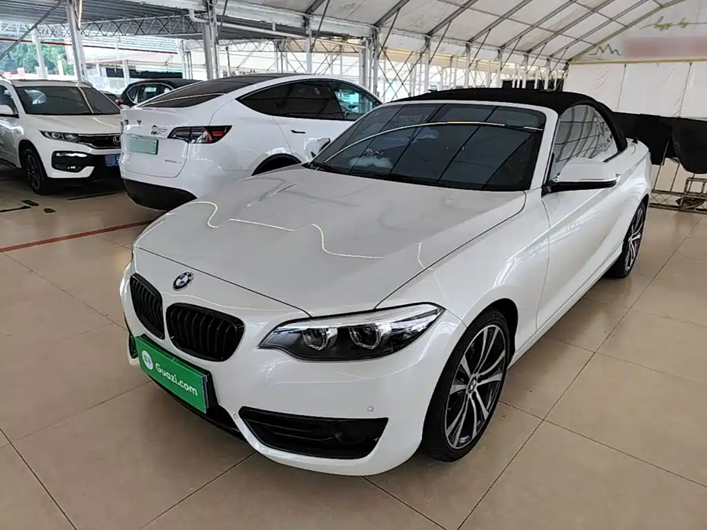 BMW 2 Series (Import) — фото 2
