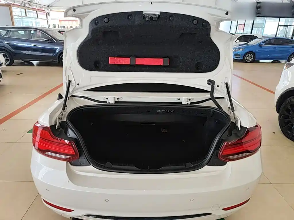 BMW 2 Series (Import) — фото 19