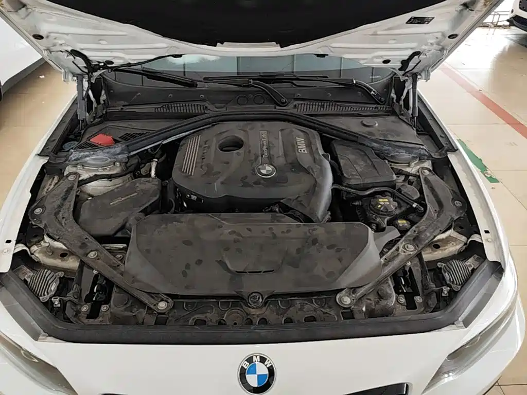 BMW 2 Series (Import) — фото 20