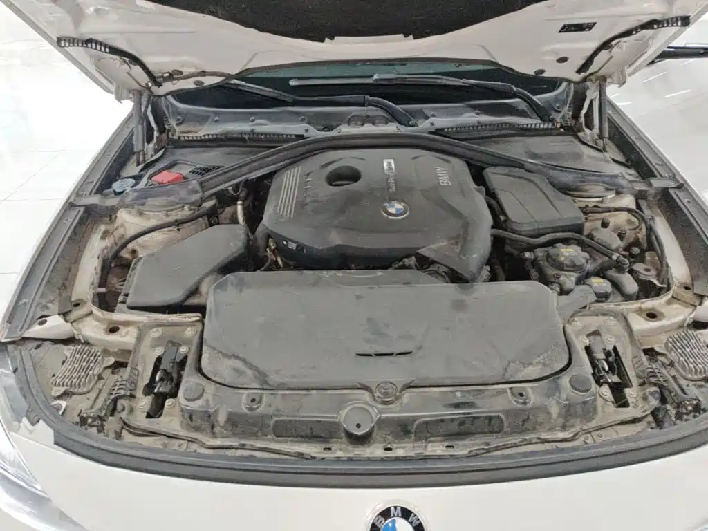BMW 3 Series GT — фото 20