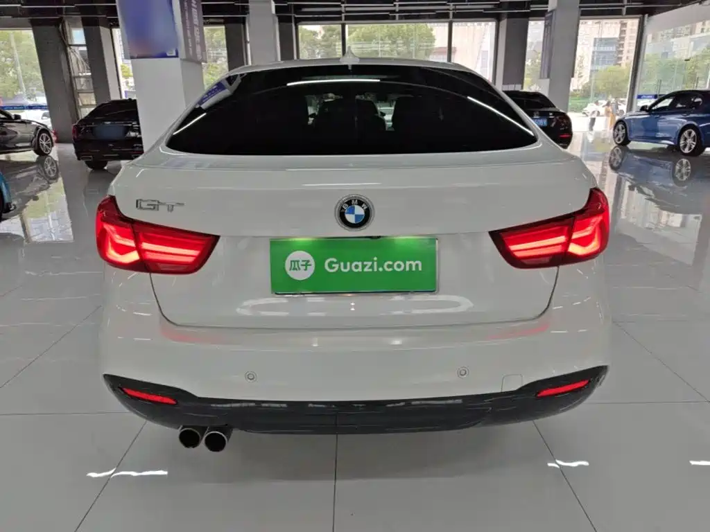 BMW 3 Series GT — фото 6