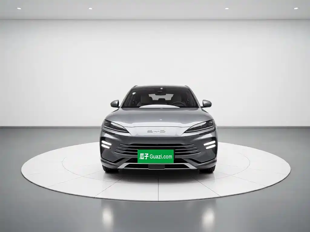 BYD PLUS New Energy — фото 2