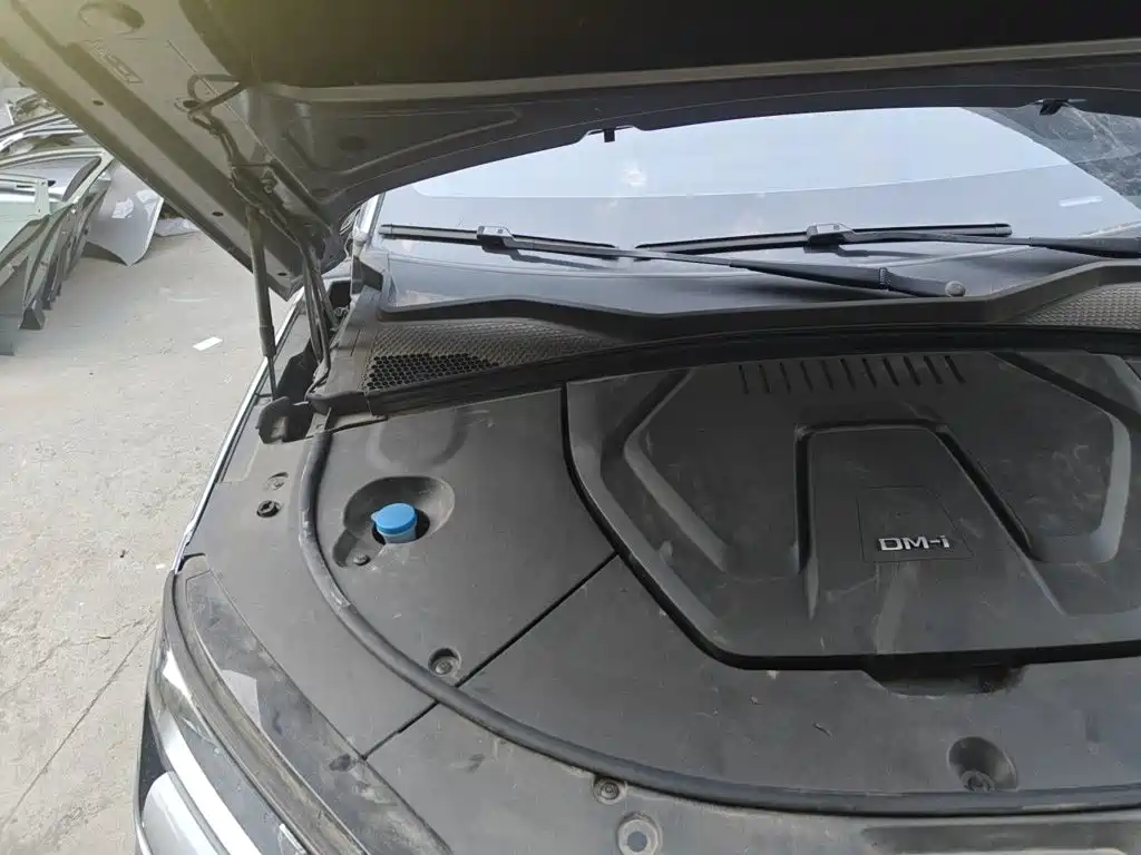 BYD PLUS New Energy — фото 21