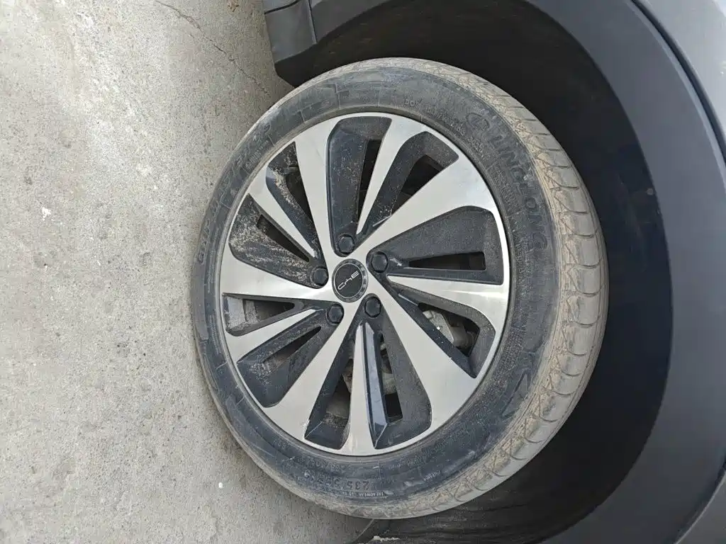 BYD PLUS New Energy — фото 25