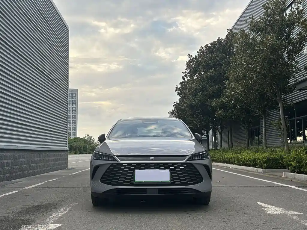 BYD Qin PLUS — фото 8