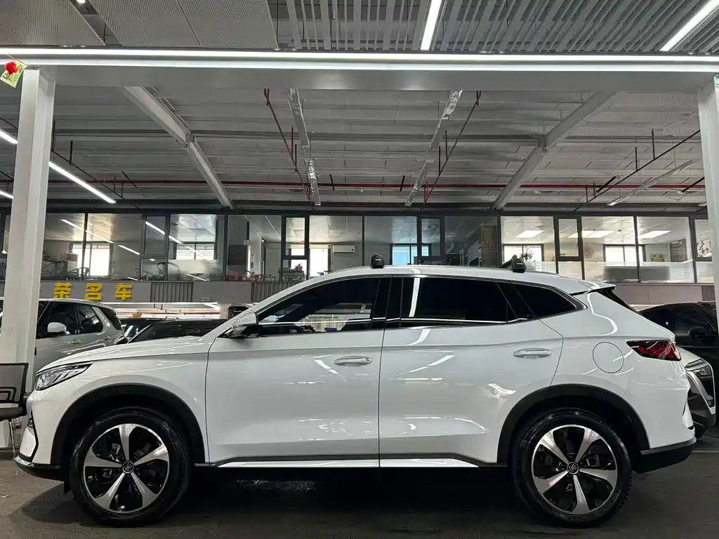 BYD PLUS New Energy — фото 3