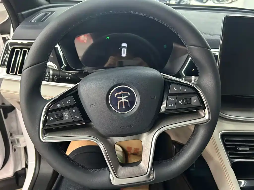BYD PLUS New Energy — фото 10