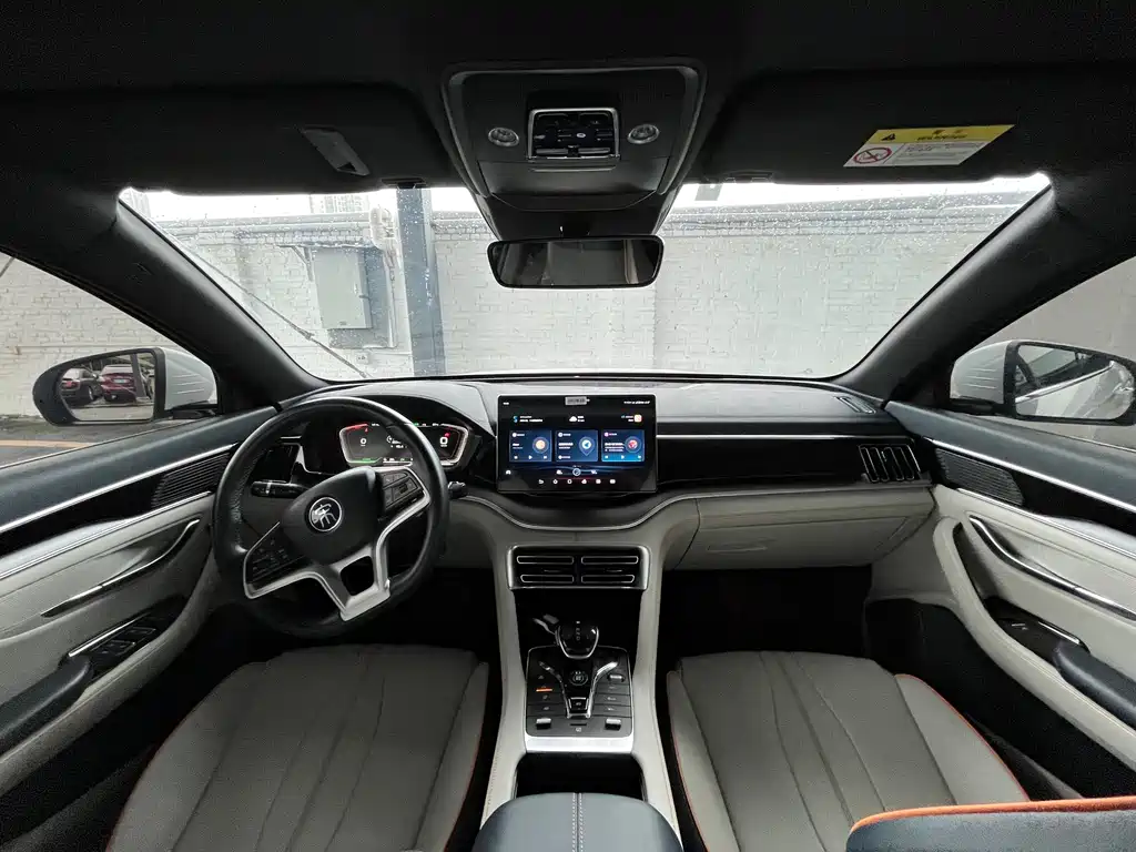 BYD PLUS New Energy — фото 11