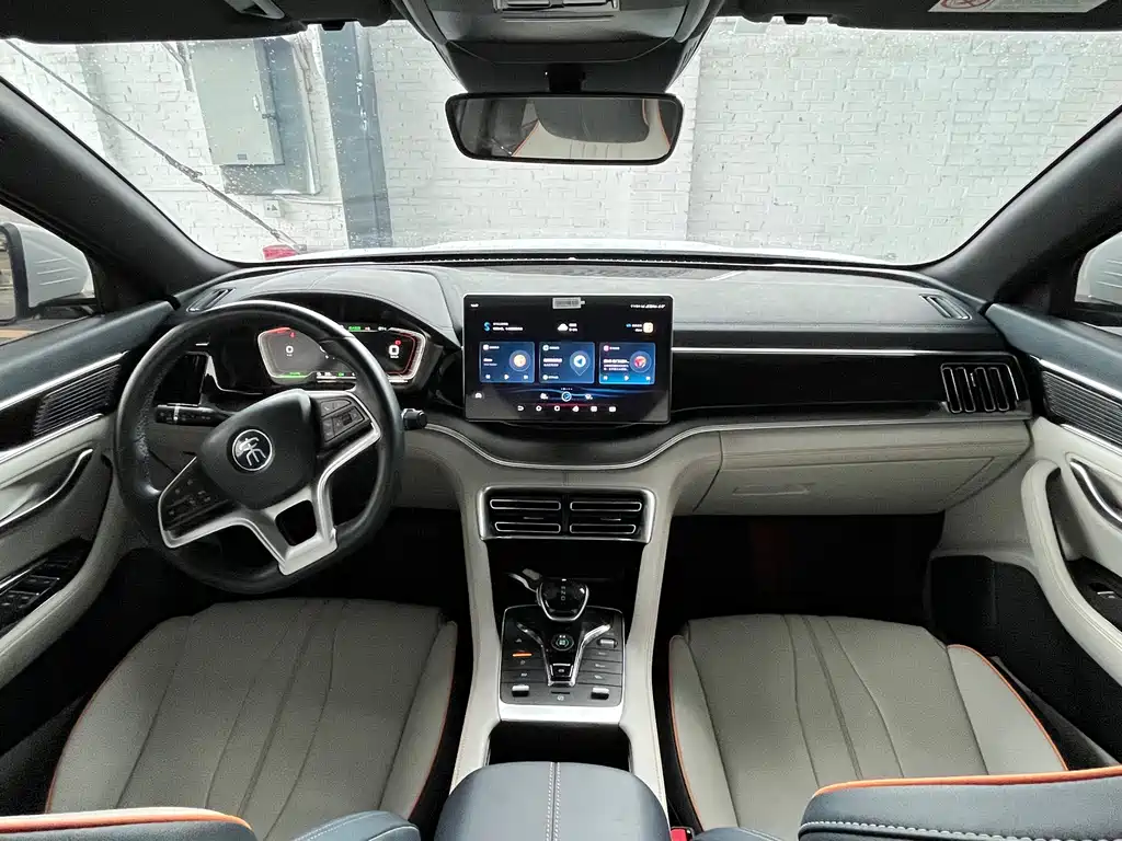 BYD PLUS New Energy — фото 14