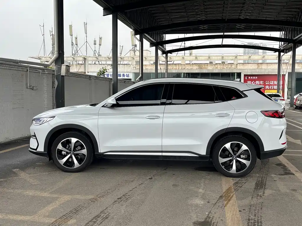 BYD PLUS New Energy — фото 4