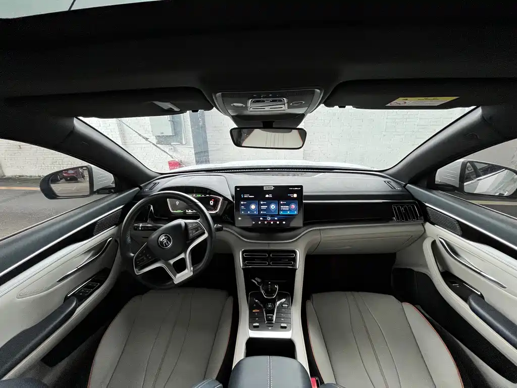BYD PLUS New Energy — фото 10