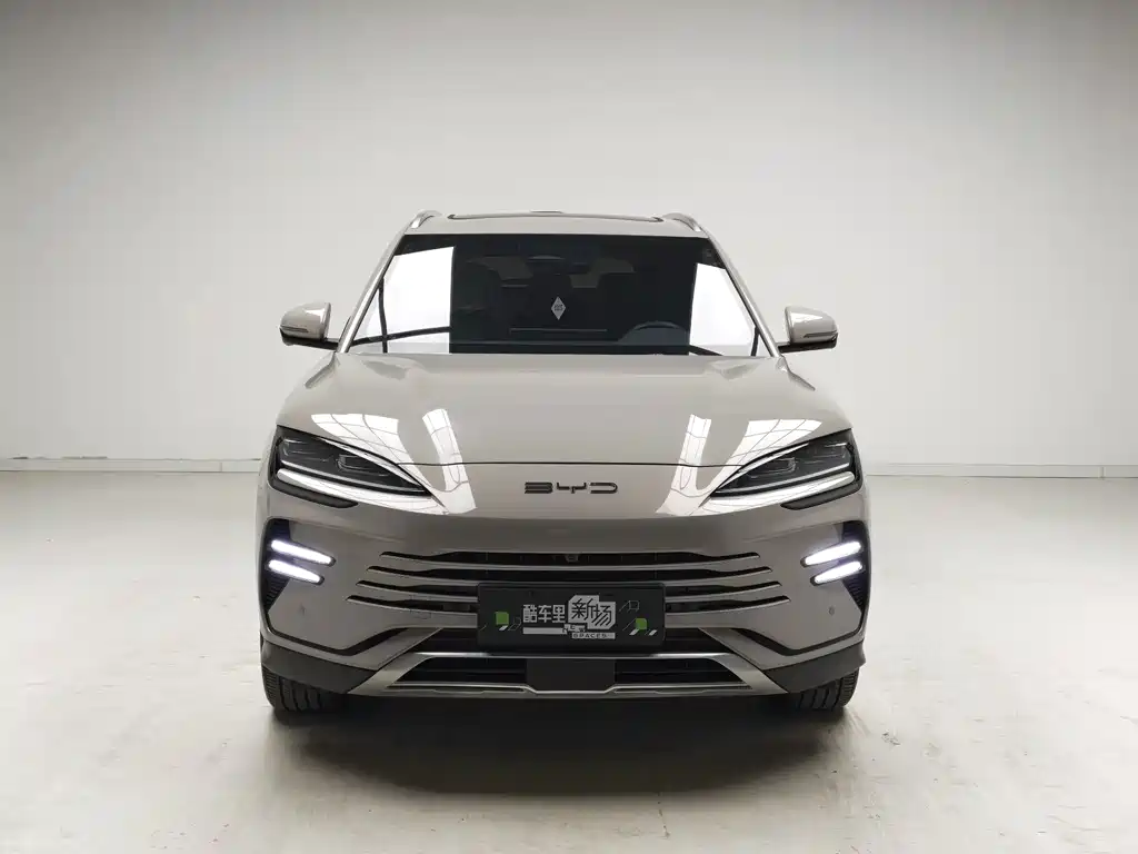 BYD PLUS New Energy — фото 2