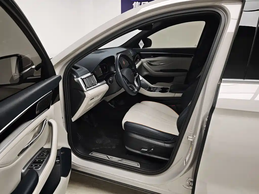 BYD PLUS New Energy — фото 13