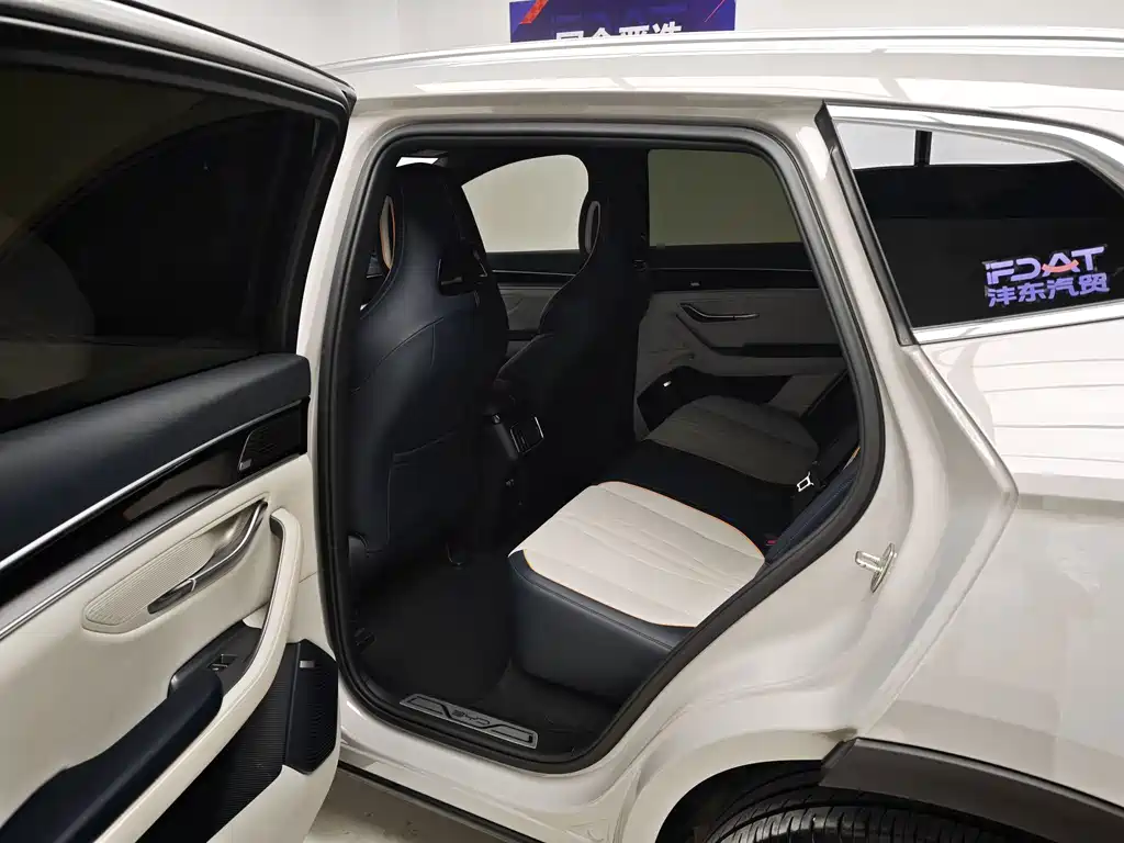 BYD PLUS New Energy — фото 17