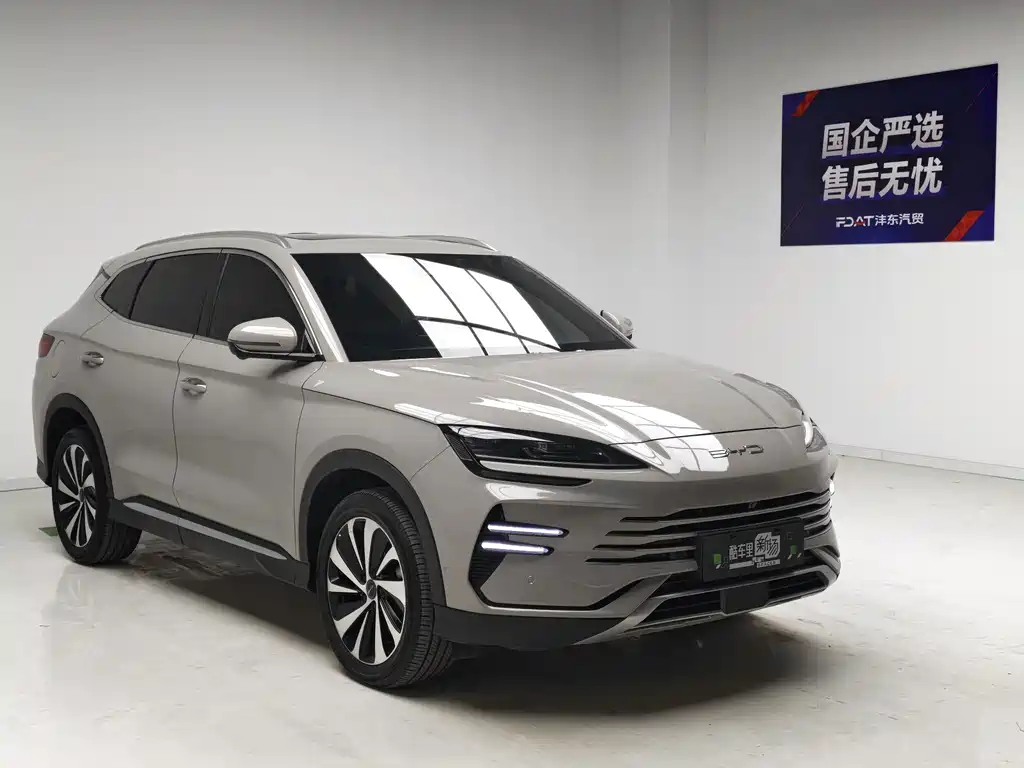 BYD PLUS New Energy — фото 3