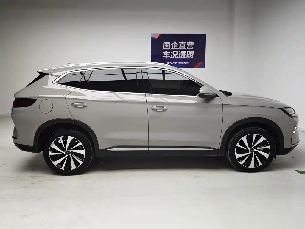 BYD PLUS New Energy — фото 7