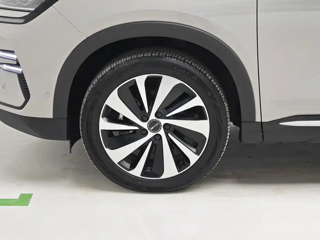 BYD PLUS New Energy — фото 8