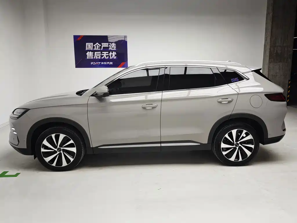 BYD PLUS New Energy — фото 9