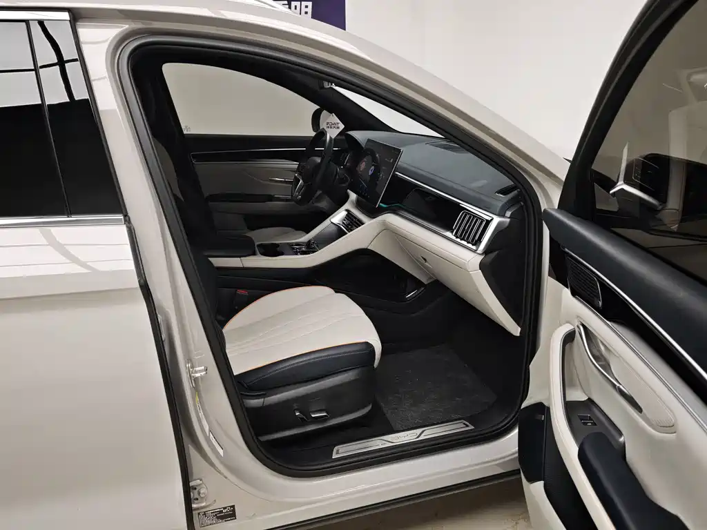 BYD PLUS New Energy — фото 10