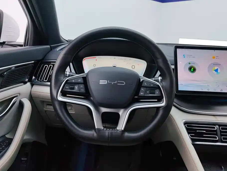 BYD PLUS New Energy — фото 15